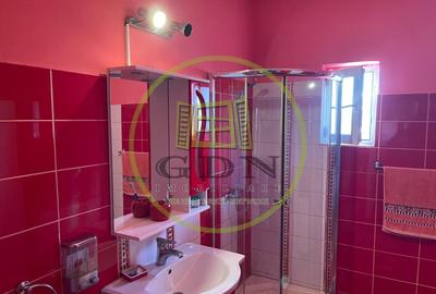 Casă P+1, teren de 303 mp, proximitate Parcul Tineretului- stadionului Oblemenco - 10