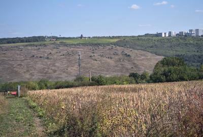 PACURARI-PLATOUL BELDIMAN, 980 MP , numai 42000 euro , ideal investitie - 2