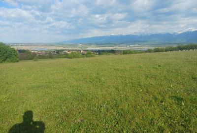 Teren extravilan Bradu - zona cu panorama superba - 7