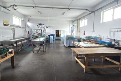 Spațiu industrial, de 560 mp, în Apateu