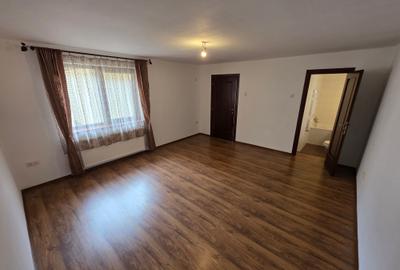 Ion Mihalache, Domenii, str. Virgil Plesoianu, vila superba  teren 300 mp - 10