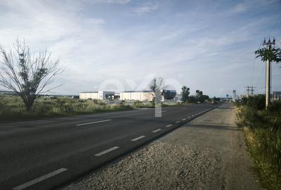 Teren Construcții intravilan de 4000 mp, în Albota