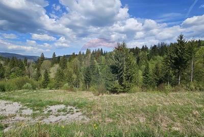 Teren 4048mp Campulung Moldovenesc, Strada Izvorul Alb, Suceava - 7
