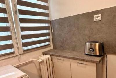 Dristor 2 | Garsoniera | Metrou in fata blocului | Prima inchiriere - 6