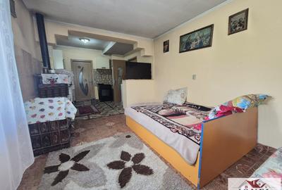 Vanzare casa in Vintu de Jos - Parau lui Mihai - 2