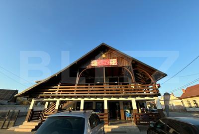 Casă individuală cu 12 camere în Exterior Nord