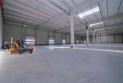 CLADIRE DE BIROURI SI HALA INDUSTRIALA - BORS, BIHOR - 5