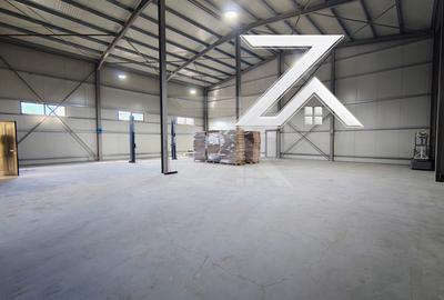 Spațiu industrial, de 500.00 mp, în Malu Mare