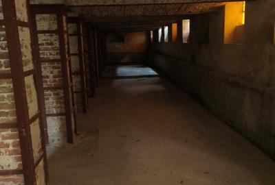Spatii de inchiriat pentru birouri sau depozitare zona Iosefin - ID C5330 - 12