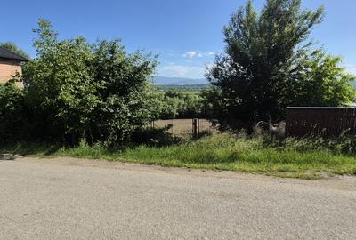 Teren intravilan de 1290 mp, în Coltău