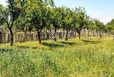 Casa noua cu potential turistic de vanzare in Com Crasna, Sat Radosi, Gorj - 9