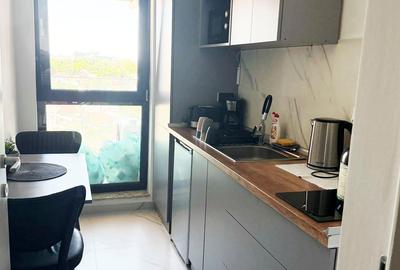 Studio nou, modern, luminos si spatios Viilor/Carol - 6