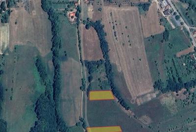 Teren agricol extravilan de 3000 mp, în Băița
