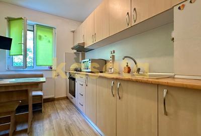 Apartament cu 2 camere semidecomandat, mobilat în Pajura