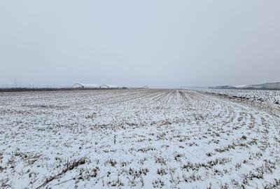 Teren industrial de vanzare in Stupini - 7