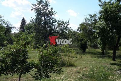 Teren intravilan | 2.810 mp|18ml|Zona Fratelia| - 11