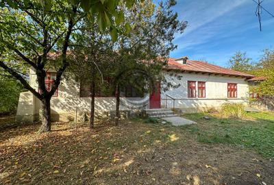 Casa 4 camere de vanzare | 3808 MP teren | Tariceni, PH | Comision 0% - 1