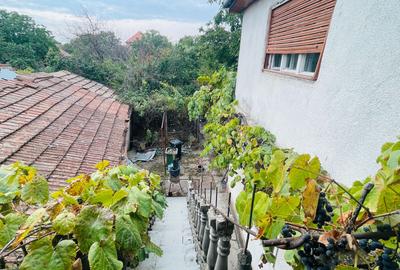 Casa spatioasa cu teren 739 mp in zona Mehala - 22