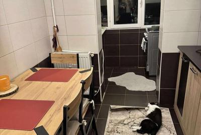 Apartament decomandat cu 2 camere, renovat, în Nicolina - 3