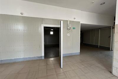 Zona Letea Veche - 3 Hale de inchiriat - 11