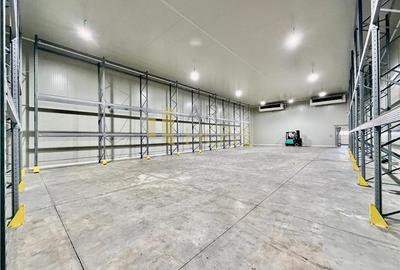 Hale noi cu refrigerare, 500 mp, acces TIR, Nord, Ploiesti - 1