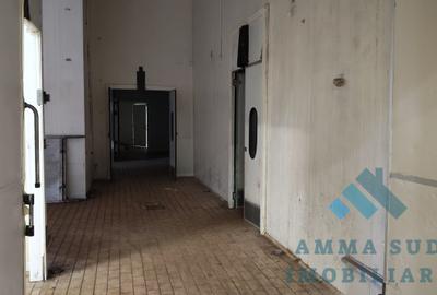 Hala Productie Abator - 1.000 mp - 5.000 mp teren - Sos. Oltenitei DN4 - 7