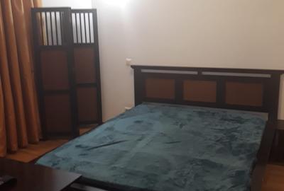 Garsoniera de inchiriat situata intr-un BlocNou in ParculTineretului cu Centrala - 5