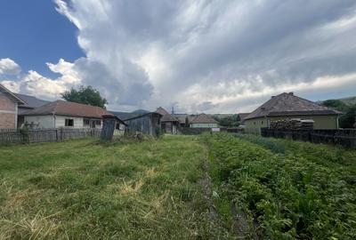 GRADINA BUNICII DE ODINIOARA,DE VANZARE -PAPAUTI,COVASNA. - 4