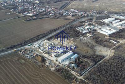 Spațiu industrial de vanzare Popești-Leordeni - 17