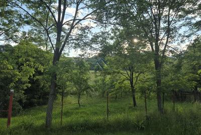 Teren intravilan 1201 mp – Curtea de Arges, Strada Haiducesti - 3