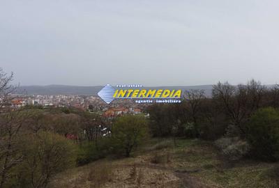 Teren Construcții intravilan de 10046 mp, în Cetate