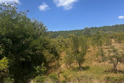 TEREN INTRAVILAN - 2500 MP - Valea Mare- Podgoria - 8