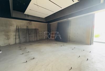 Spațiu Comercial Stradal P+1 | 530 mp | Crângași – Virtuții - 13