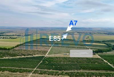 Teren 9 ha, Itești, Bacău - 3