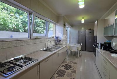 Vila Colentina- Andronache - 8