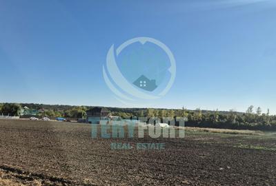Teren Intravilan Lot de Casă  cu vedere lac 1.000 m.p Găneasa Ilfov - 1