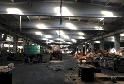 SPATIU INDUSTRIAL - CODLEA - 4