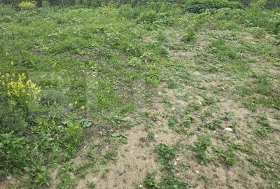 Apartament 3 camere, 51 mp, gradina ~200mp, zona primarie Apahida - 5
