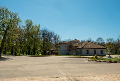 Vila visurilor tale există!Descoperă oaza de liniste în complexul Green City - 32