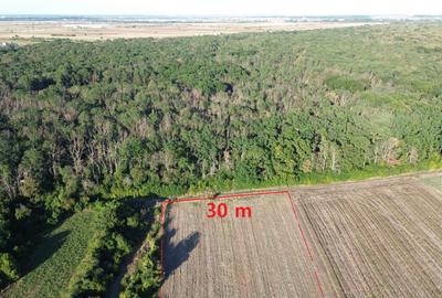 Teren Construcții intravilan de 9000 mp, în Bolintin-Deal