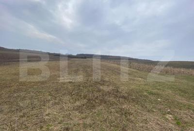 Teren Construcții intravilan de 2500 mp, în Exterior Est