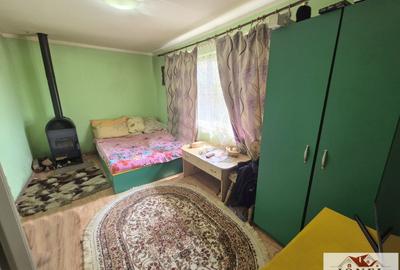 Vanzare casa in Vintu de Jos - Parau lui Mihai - 5
