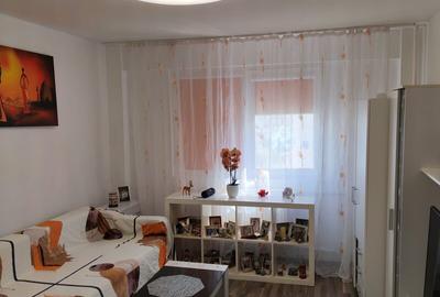 Colentina, Doamna Ghica, Parc Plumbuita, semistradal - 2