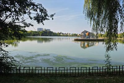 Lacul Tei / Doamna Ghica - 4 camere decomandate. Vedere parc ! - 5