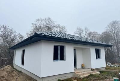 Casă individuală cu 3 camere în Satu Nou de Jos
