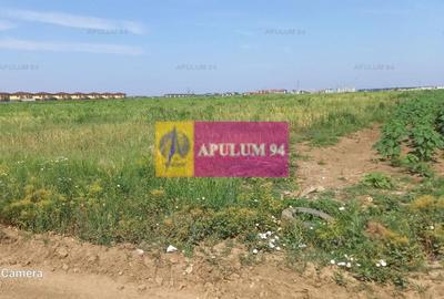 Teren Construcții intravilan de 9000 mp, în Dobroești