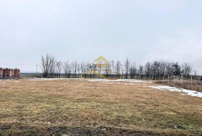 Teren Construcții intravilan de 900 mp, în Săucești