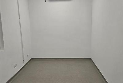 Spatii Industriale - 4500 mp - Logistica - Productie - Depozitare - 9