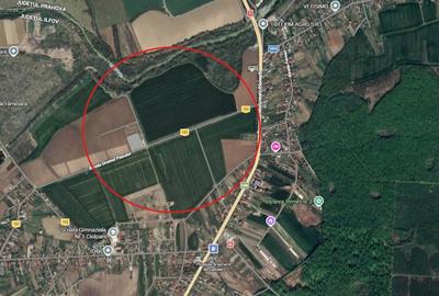 Teren Construcții intravilan de 100000 mp, în Ciolpani