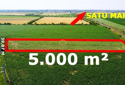 Teren extravilan - 5.000 m² in Botiz | 3 km de Satu Mare - 5